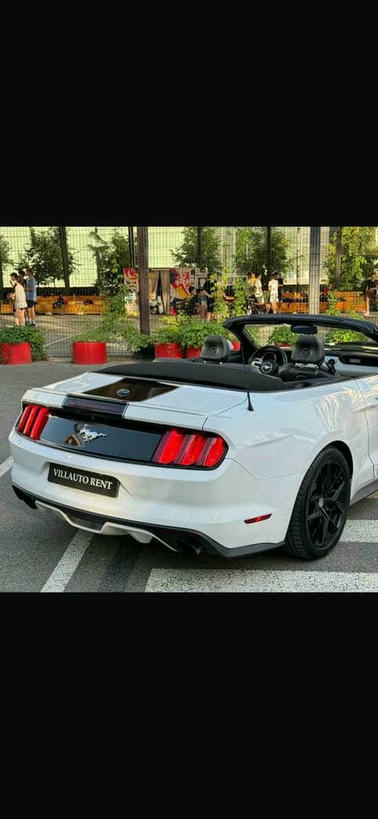 MUSTANG